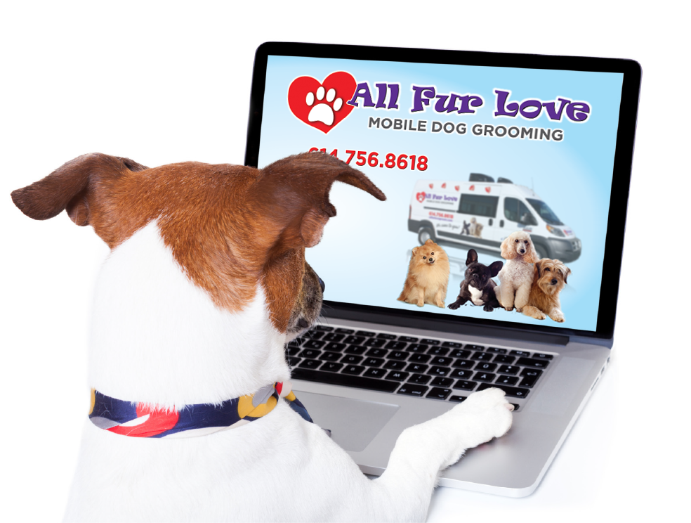 All fur love dog hot sale grooming