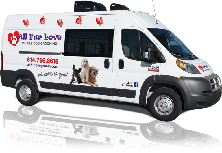 Meet the Groomer All Fur Love Mobile Dog Grooming