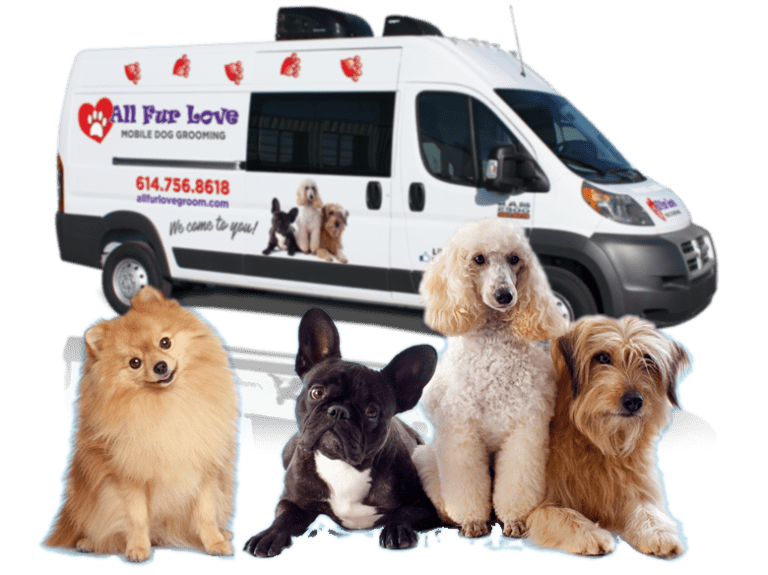 All Fur Love Mobile Dog Grooming Professional Pet Styling We Come